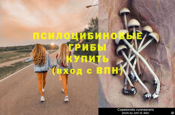 соль курить ск Новокубанск