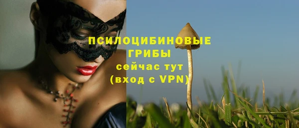 каннабис Новодвинск