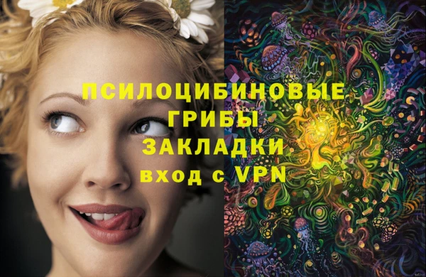 каннабис Новодвинск