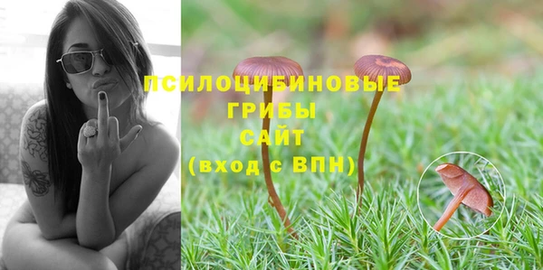 каннабис Новодвинск